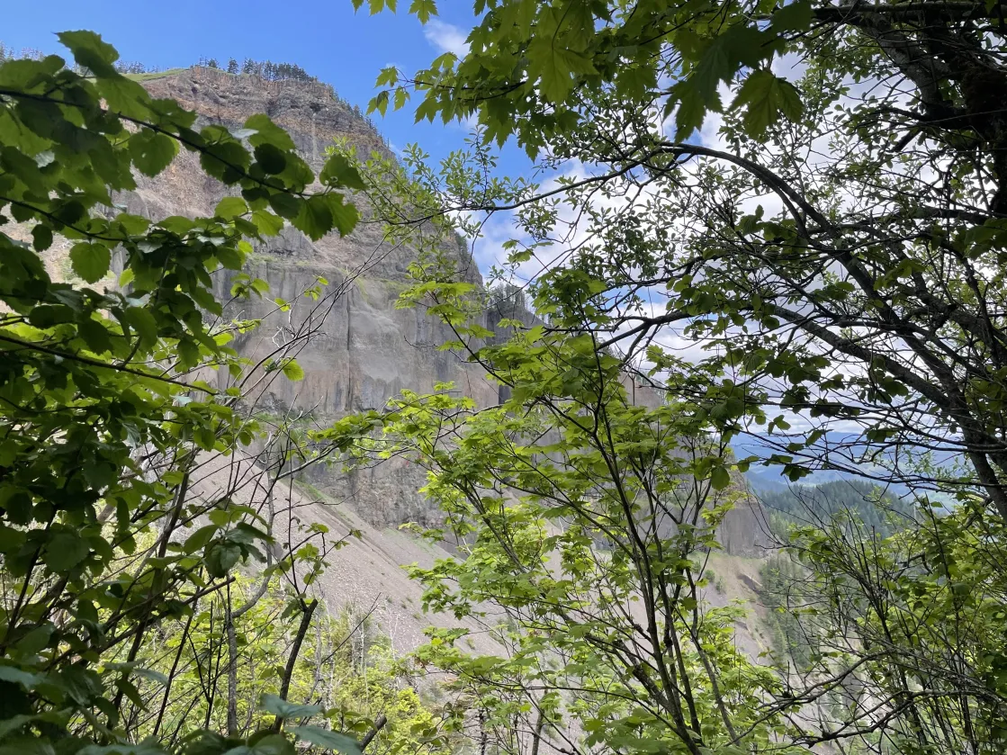 Table Mountain from below